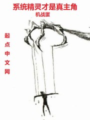 精靈系統(tǒng)流小說