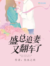 小說盛總夫人又去敗家了下載