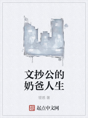 關(guān)于文抄公的小說