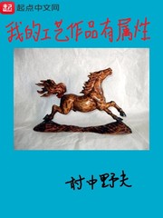 我的工藝作品有屬性