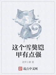 主角是雪獒鎧甲的小說