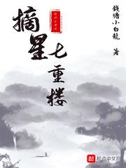 摘星七重樓小說全本下載