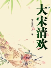 類似大宋清歡的小說