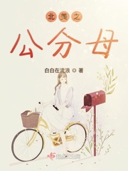 北美的小說