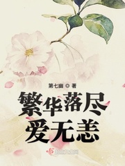 繁華落盡長篇小說