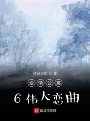 愛情公寓6:偉大結婚 小說