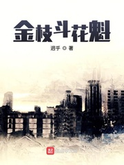 金枝小說介紹