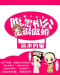 娘子有喜：腹黑相公很傲嬌