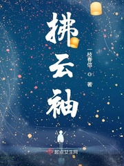 時云袖的小說作品集