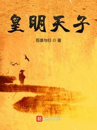 皇明天子書評