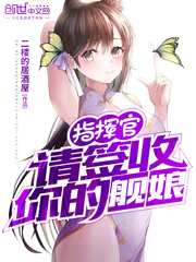 指揮官 小說