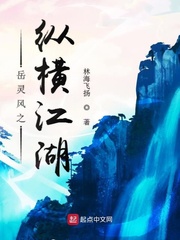 岳靈風(fēng)之縱橫江湖