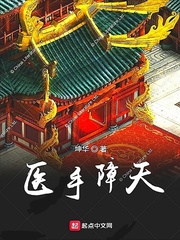 醫(yī)手障天小說