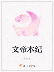 文帝本紀小說全本下載