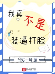 我真不是bug 小說