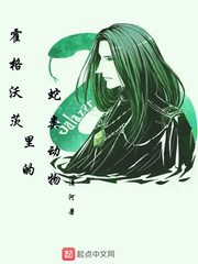 霍格沃茨蛇院小說