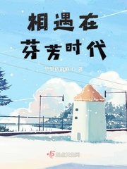 相遇在芬芳時代小說全集免費下載