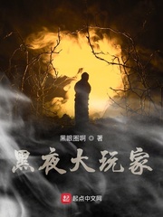 黑夜玩家頂點小說