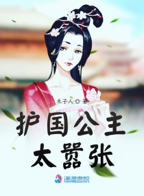 女主是護國公主的穿越小說