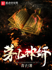 網(wǎng)絡(luò)小說(shuō)作家青子