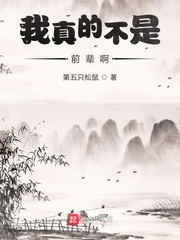 我真的不是他前妻 小說