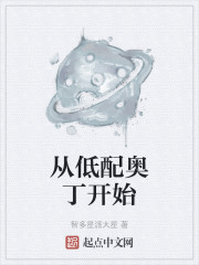 從低配奧丁開始的小說