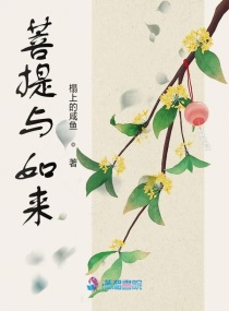 菩提和尚小說