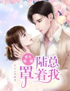 重生女主陸微涼小說