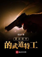 諜戰(zhàn)劇中的武道特工 第217章