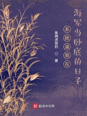 系統海戰小說