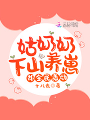 小說姑奶奶