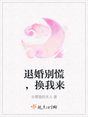 《退婚》小說