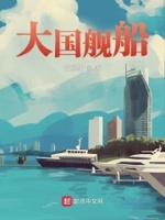 大國艦艇小說