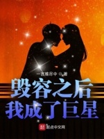 毀容之后我成了巨星的小說