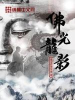 有關(guān)于速度與激情的小說