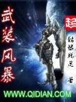 武裝風暴3