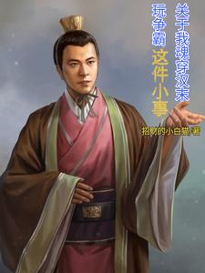 關(guān)于我魂穿漢末玩爭霸這小事