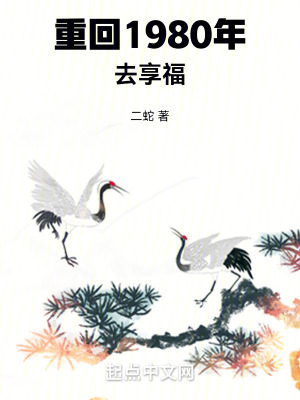 重生回到1980的小說