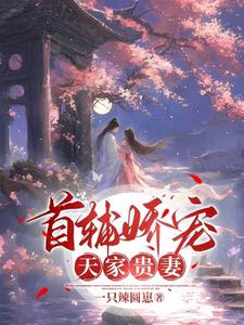 女主叫昭華公主的小說