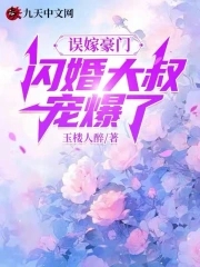 小說閃婚成寵誤嫁億萬首席