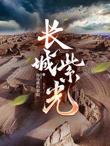 《長城》小說