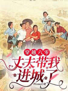 穿越六零新婚丈夫 小說