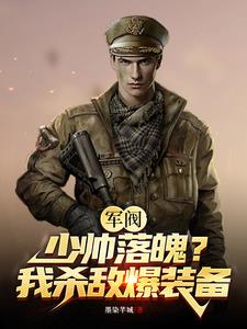 開局軍閥小說