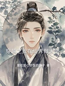 穿越大佬在修仙界興風(fēng)作浪的小說