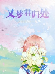 仙夢君歸小說