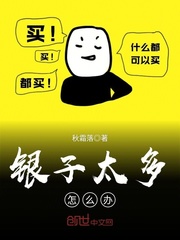 銀子太多怎么辦txt